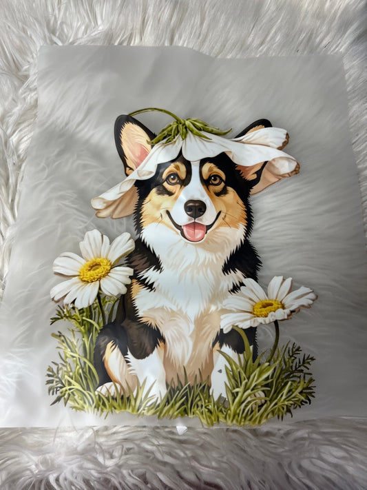 New DTF corgi