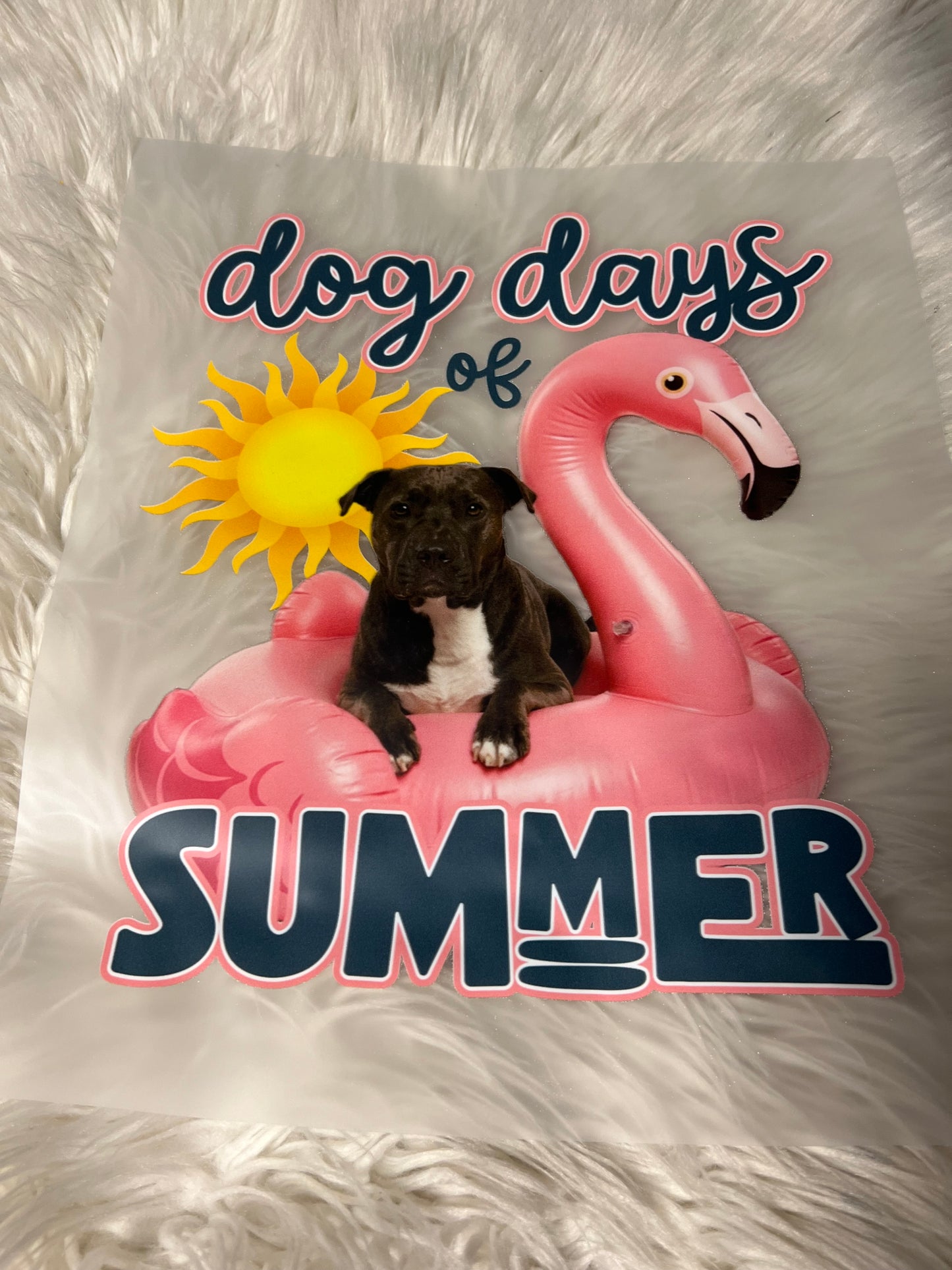 New DTF Funny dog summer