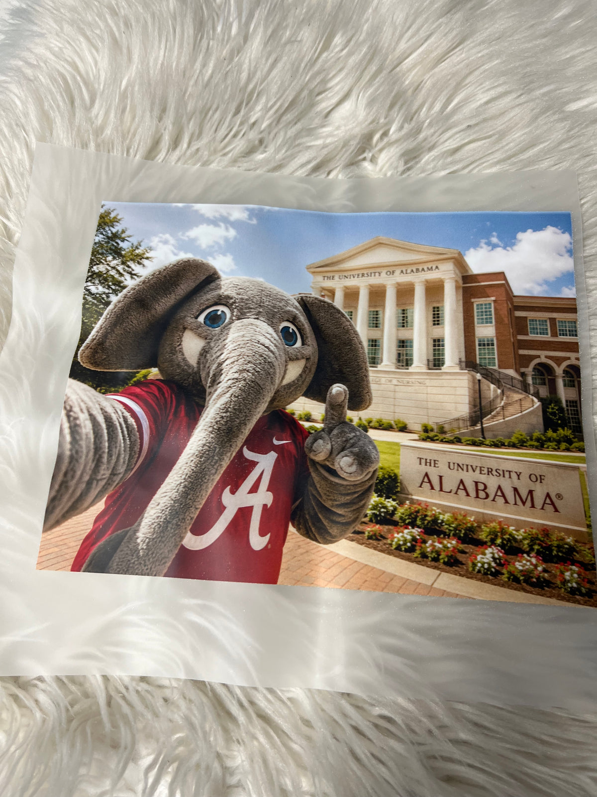New DTF Alabama