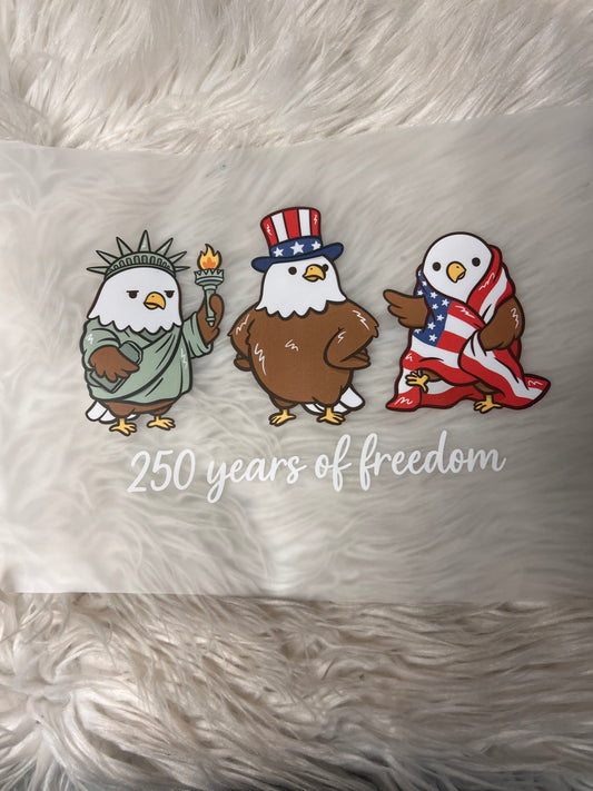 New funny DTF 250 United States of America anniversary