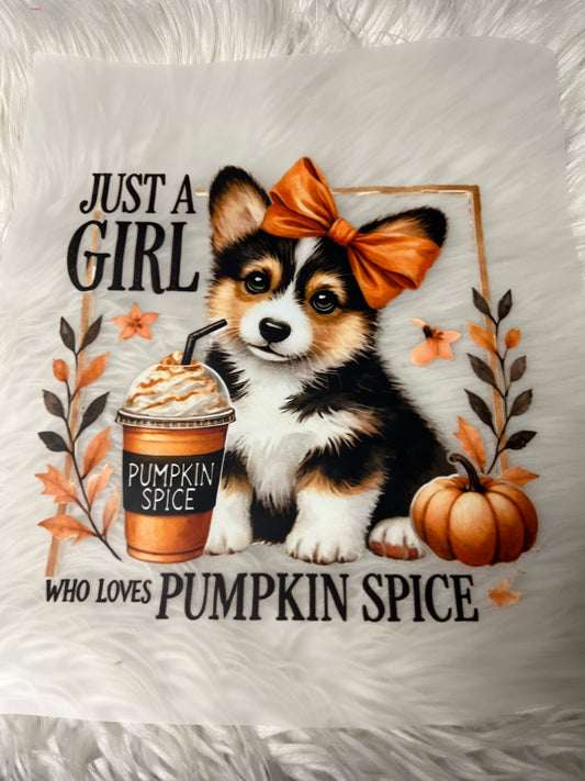 DTF  print corgi pumpkin spice