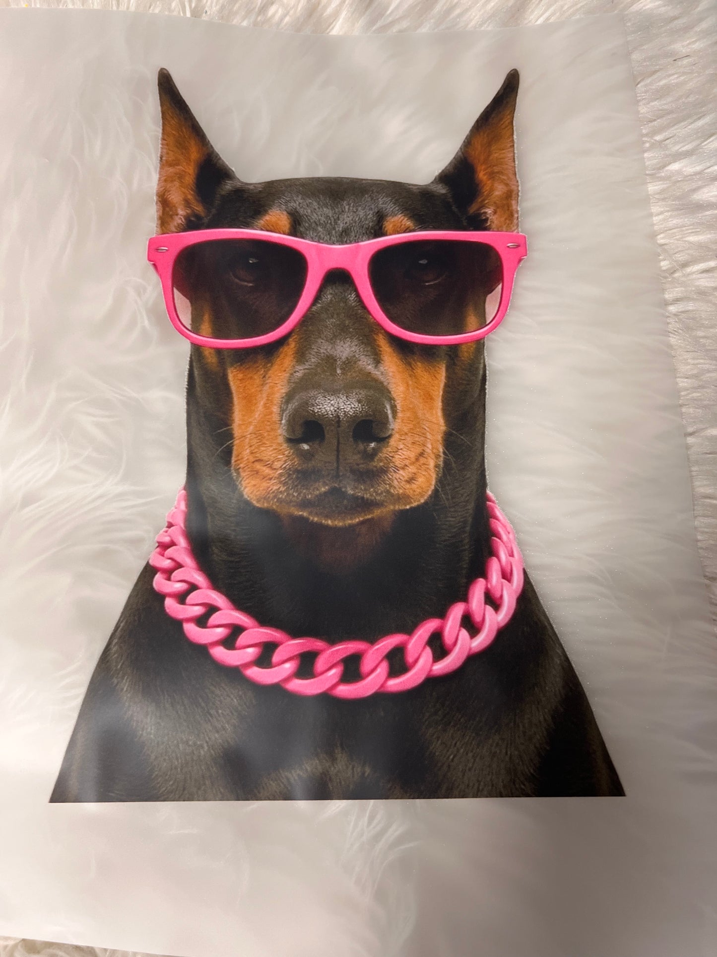 New DTF doberman ￼