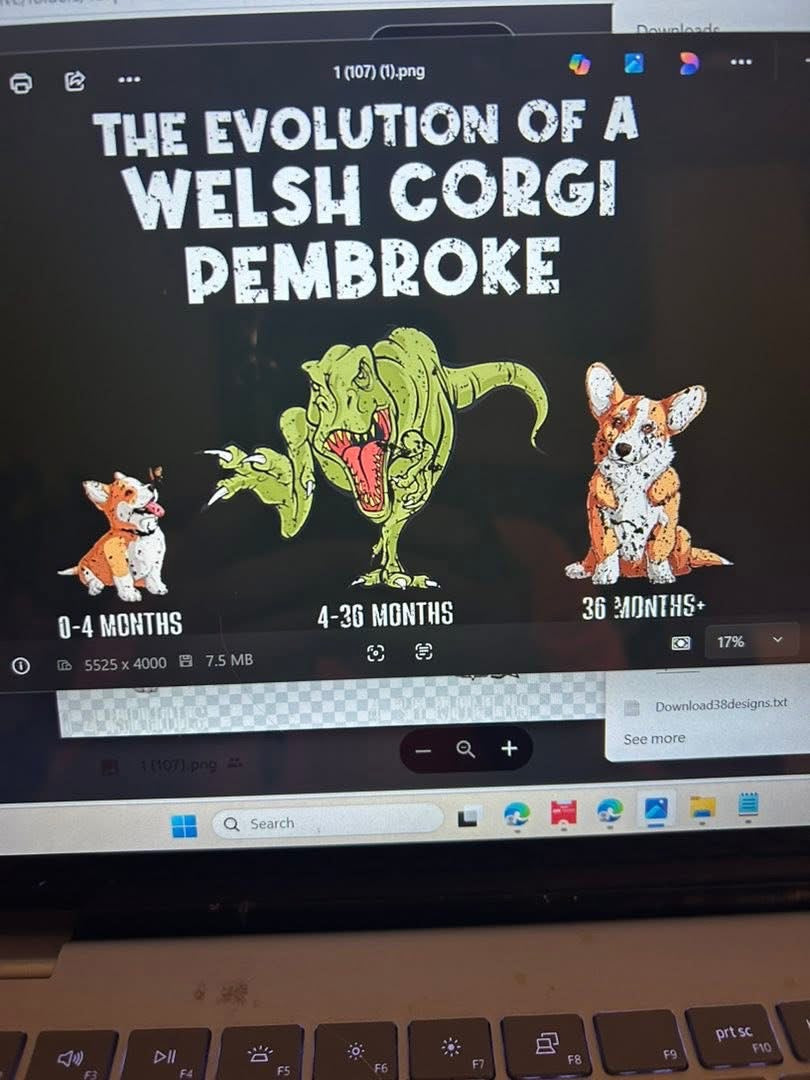 New DTF corgi