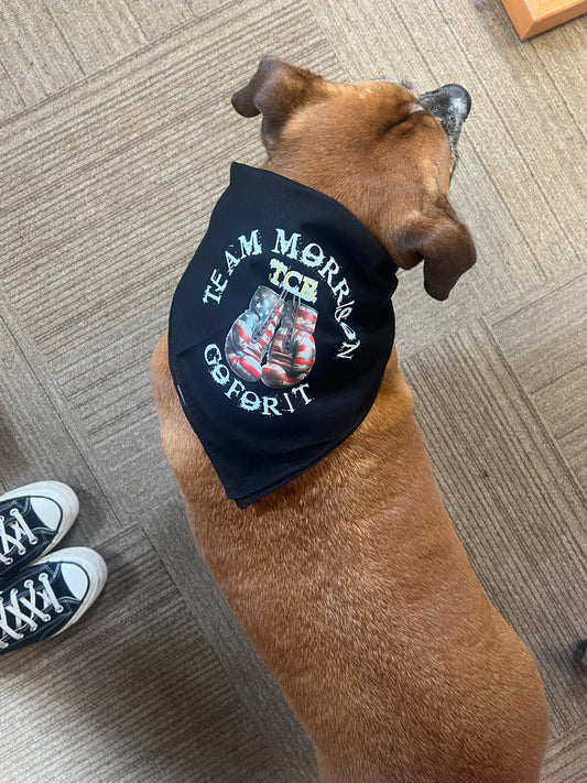 Kenzie Morrison dog bandanna