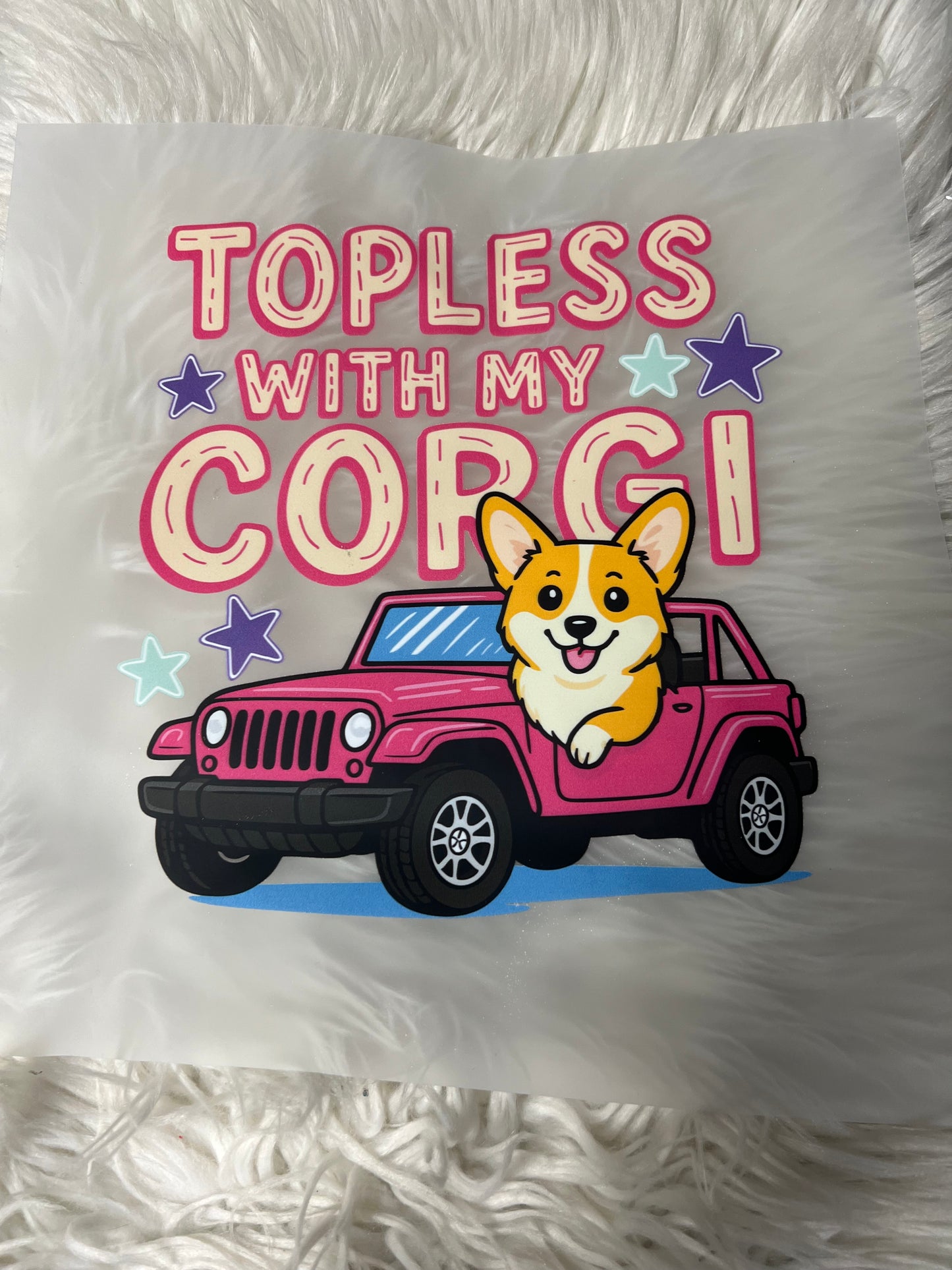 New DTF corgi