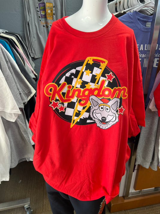 New youth unisex football