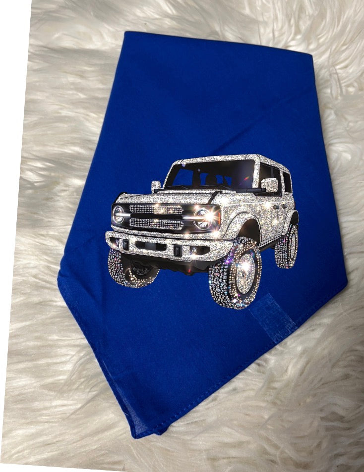 New dog bandanna