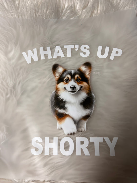 New DTF corgi