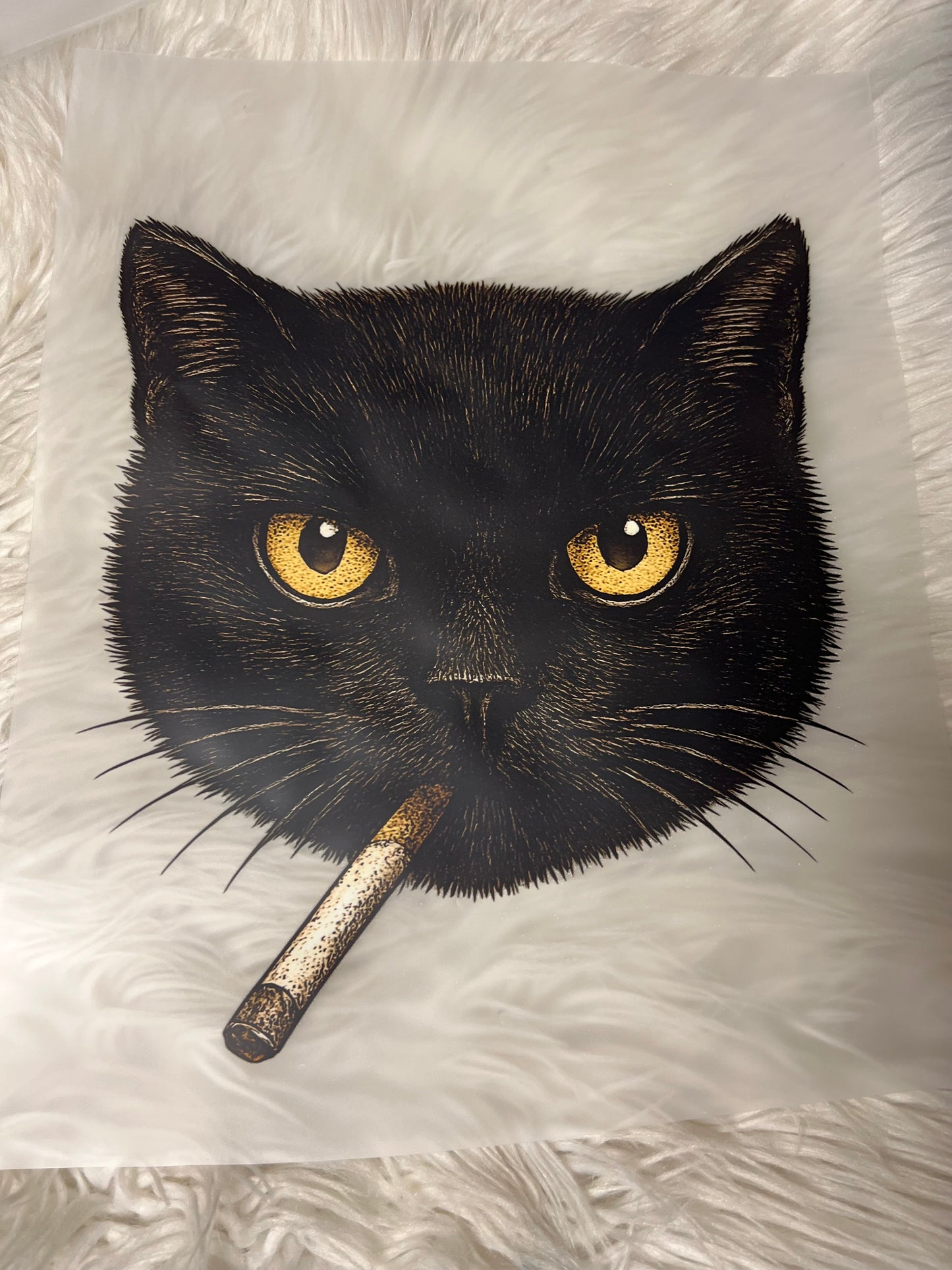 New DTF cat