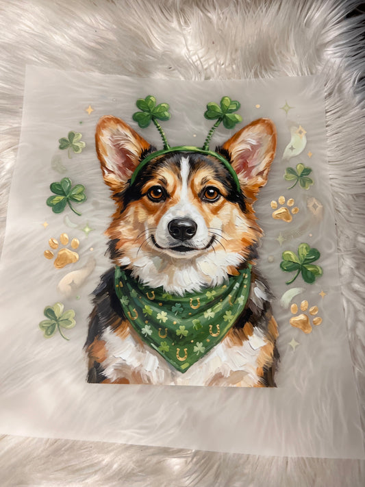 New DTF corgi st. Patrick’s Day. ￼