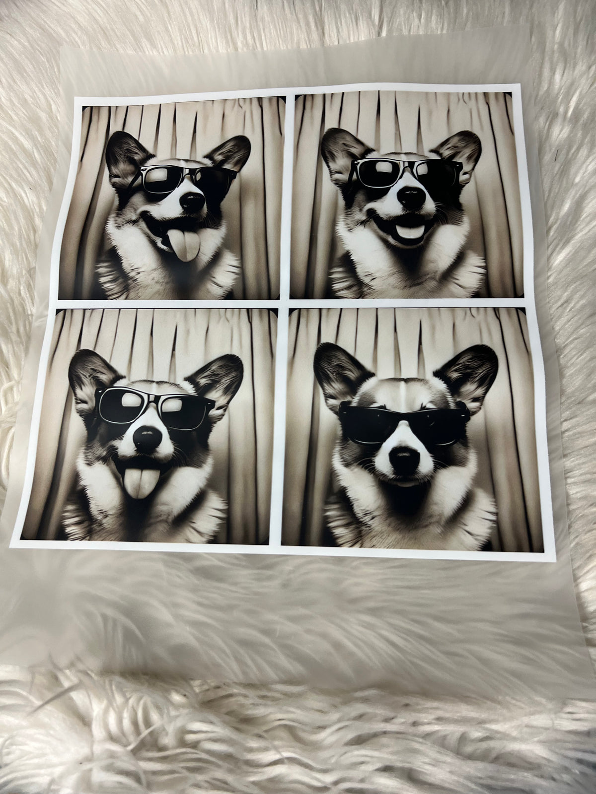 New DTF corgi