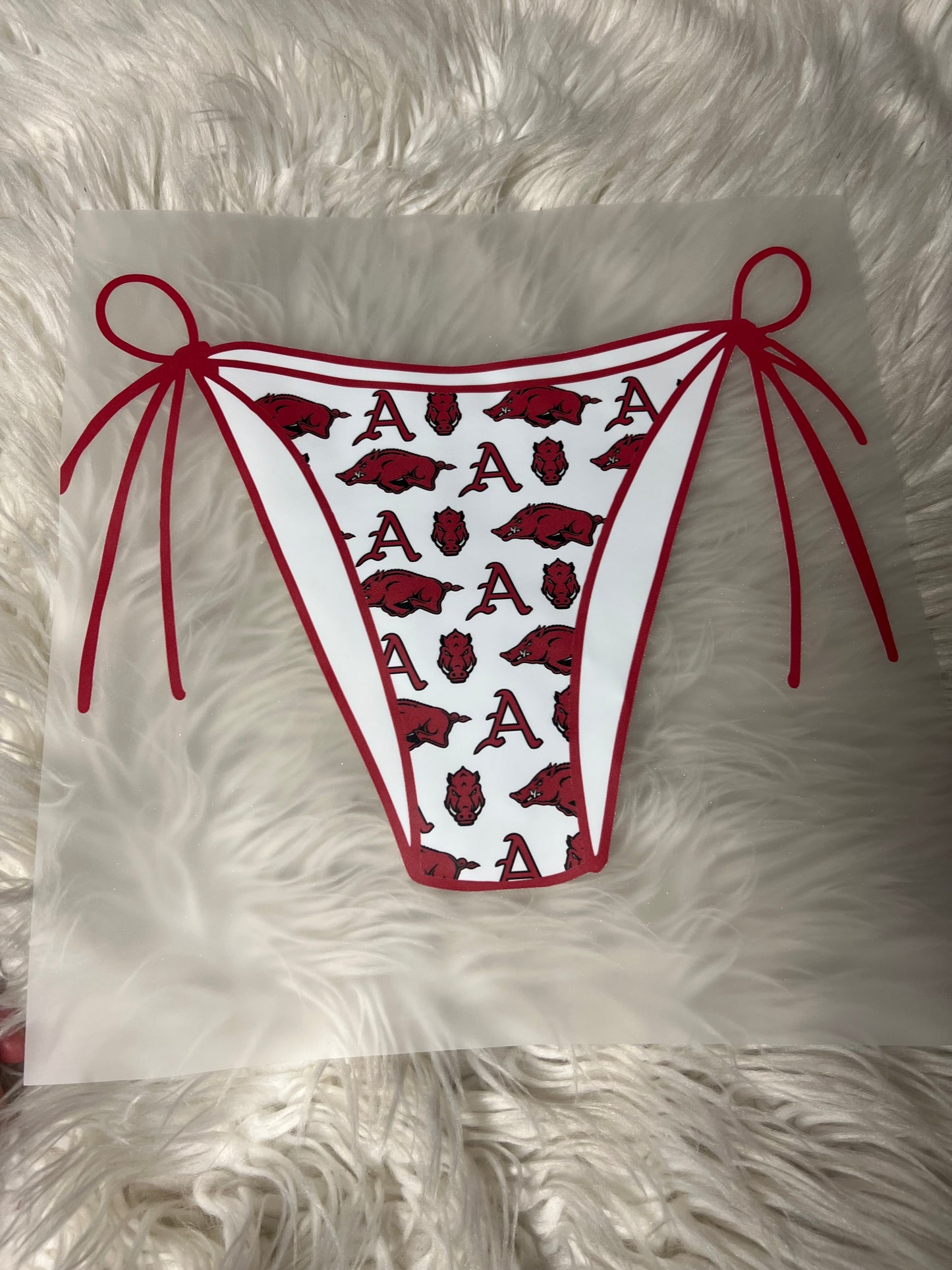 Arkansas  New  DTF bikini bottom