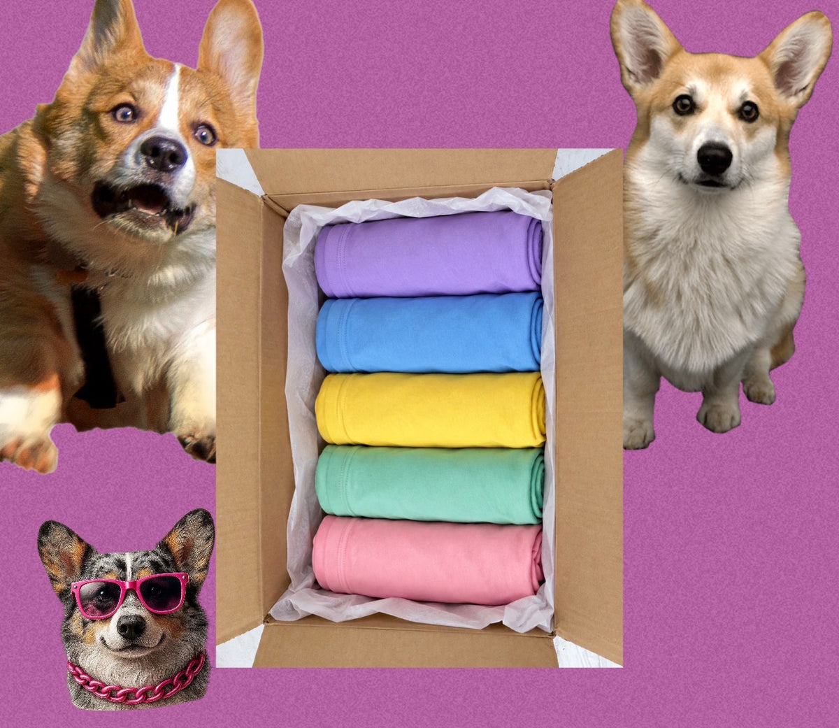 Mystery five T-shirts bundle corgi