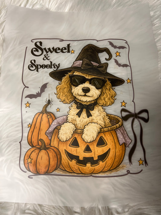 New DTF poodle Halloween sweet and spooky