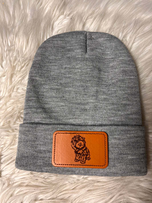 New beanie poodle/a golden doodle ￼