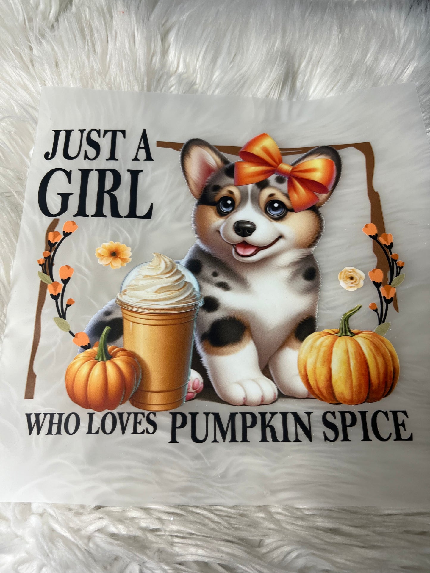 DTF  print corgi pumpkin spice