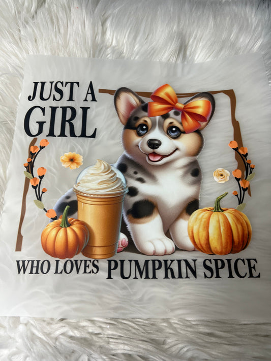 DTF  print corgi pumpkin spice