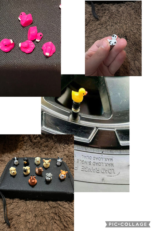 New Valve stem covers for tires (5 pieces per pack)￼