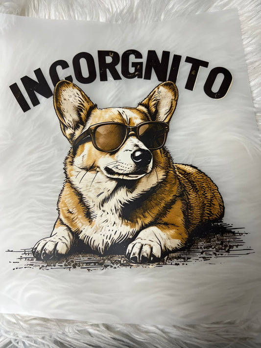 New DTF corgi incognito