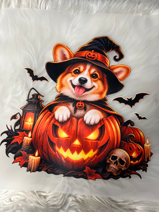 New DTF corgi