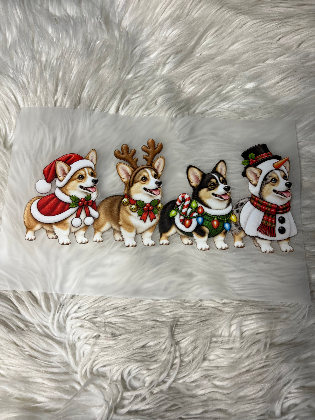 New DTF corgi