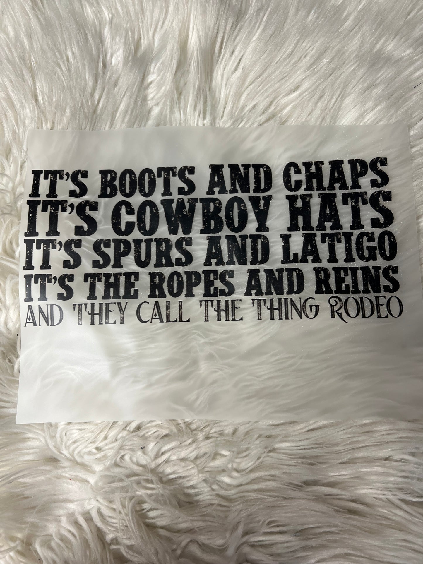New DTF cowboy country song