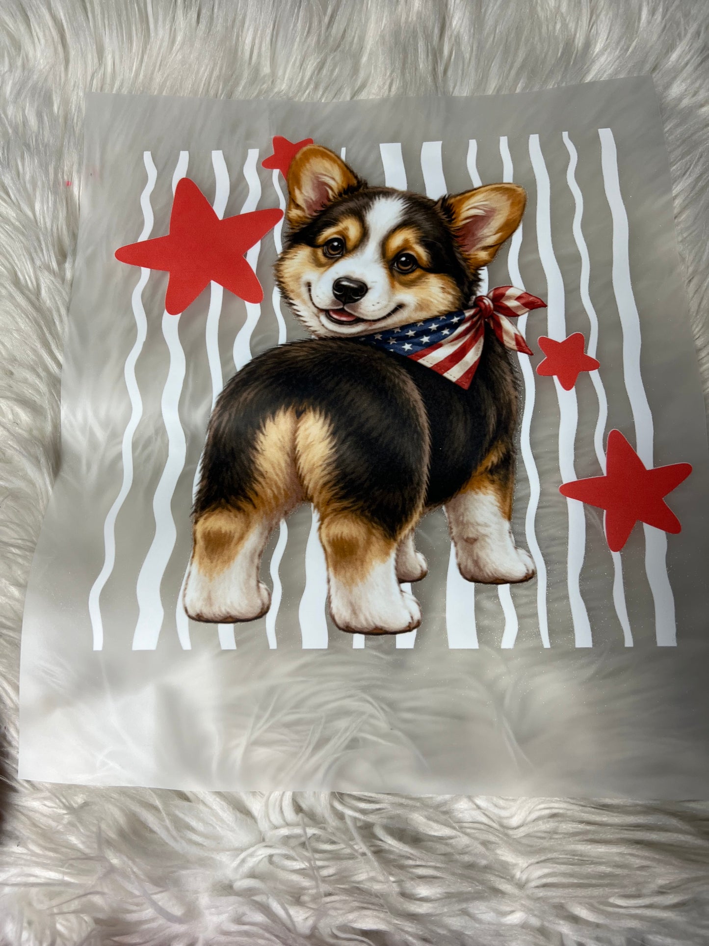 New DTF corgi