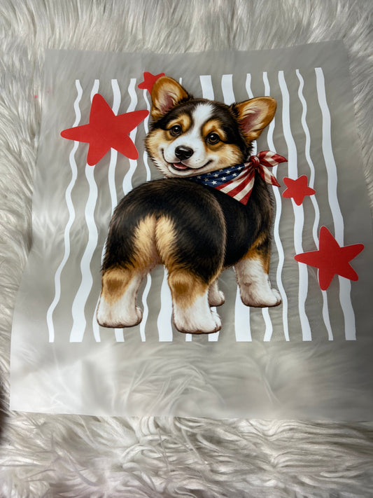 New DTF corgi