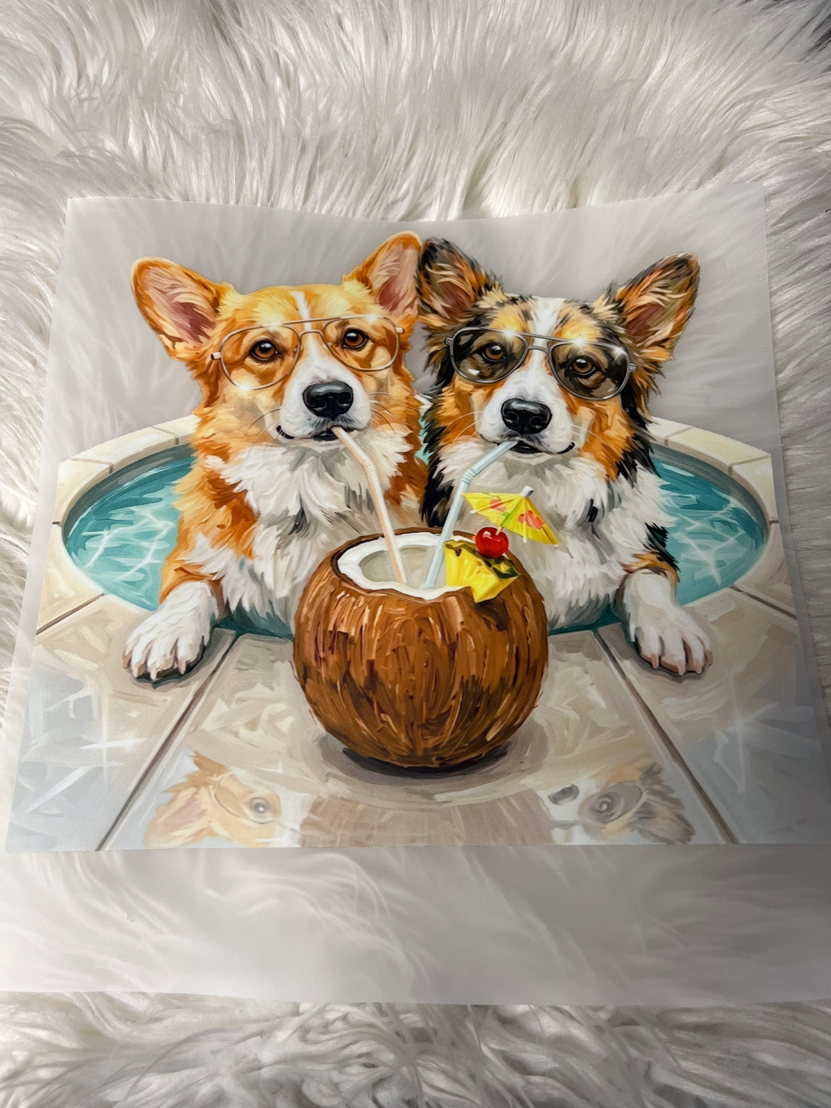 New DTF corgi