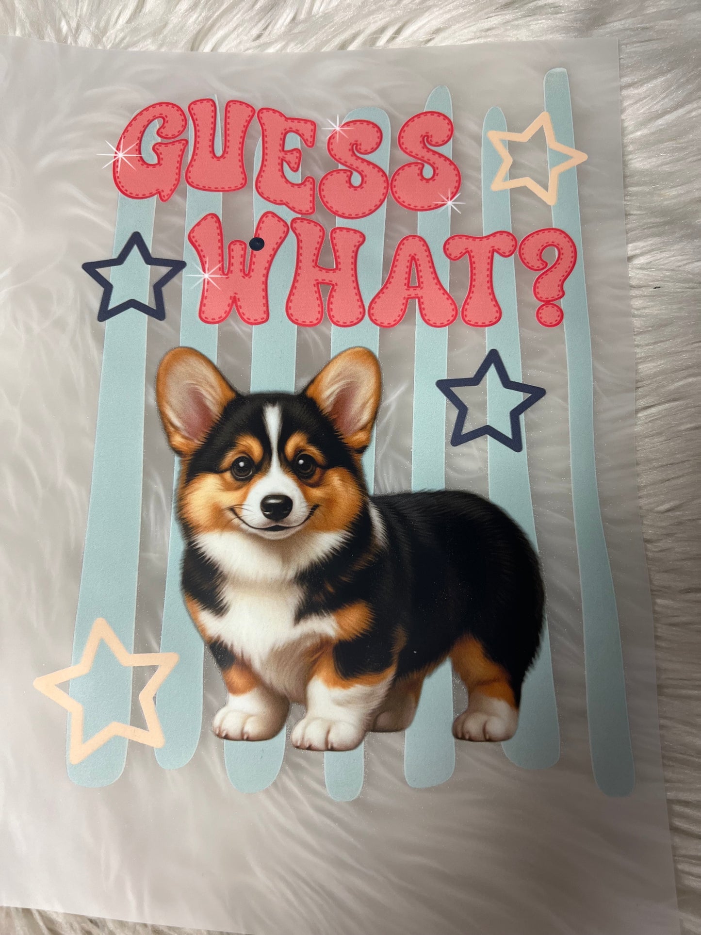 New DTF corgi