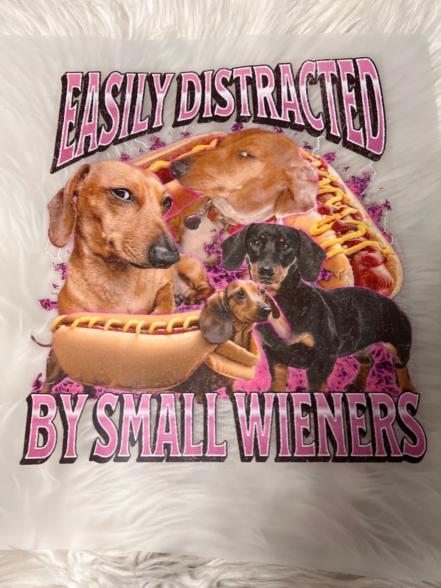 New DTF easily distracted by small wieners dachshund ￼