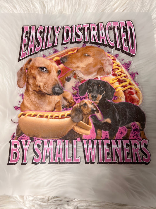 New DTF easily distracted by small wieners dachshund ￼