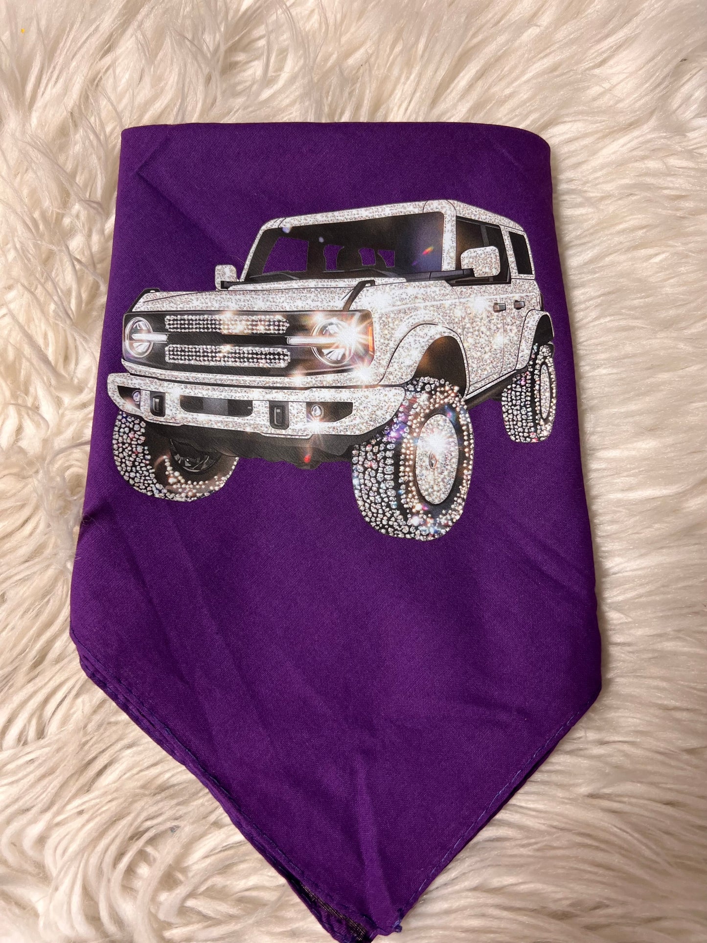New dog bandanna