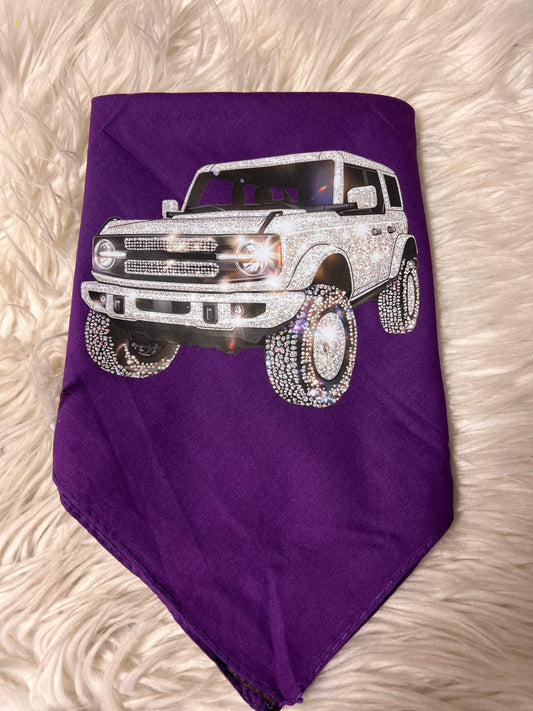 New dog bandanna