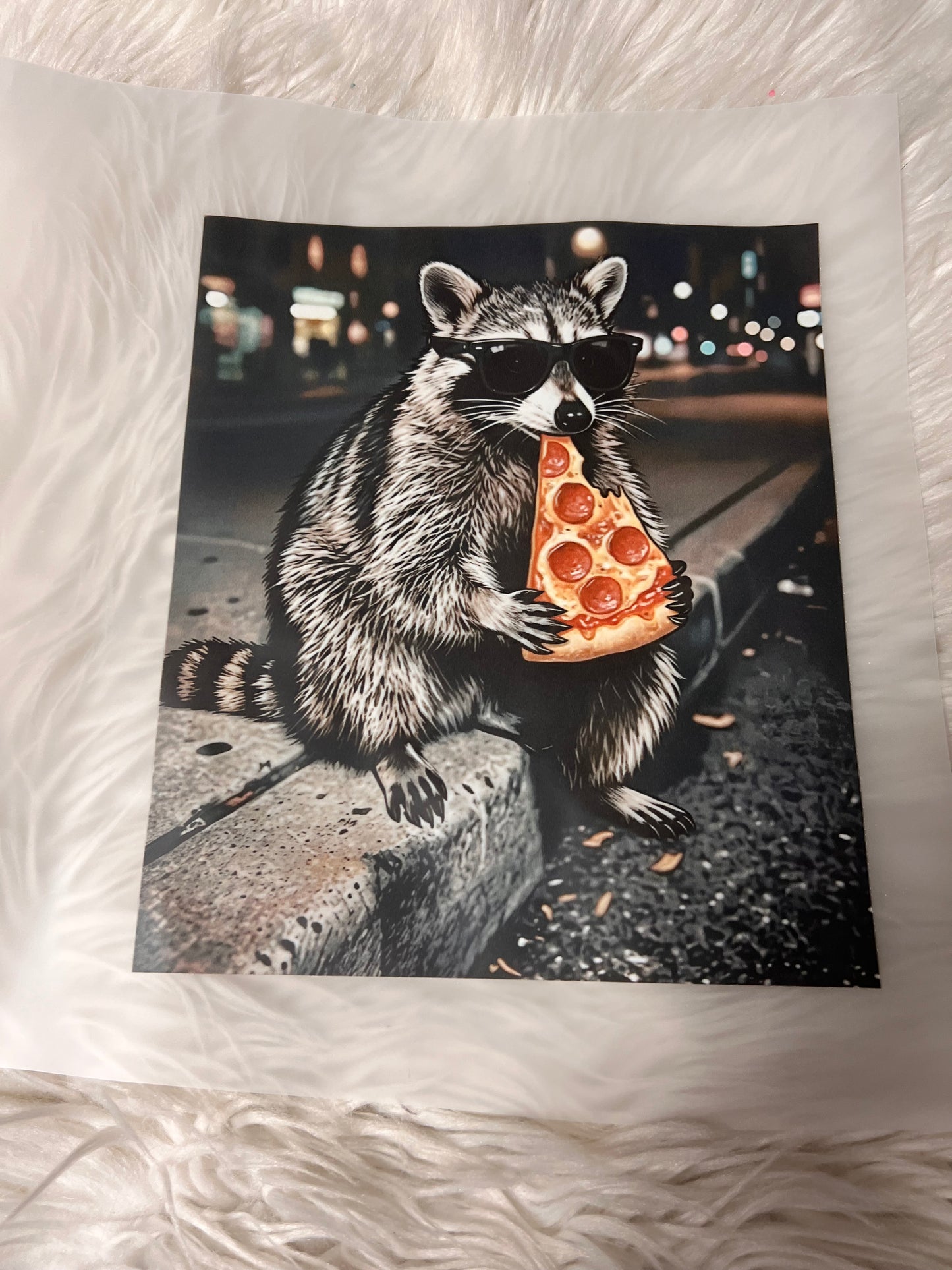 New funny DTF raccoon pizza