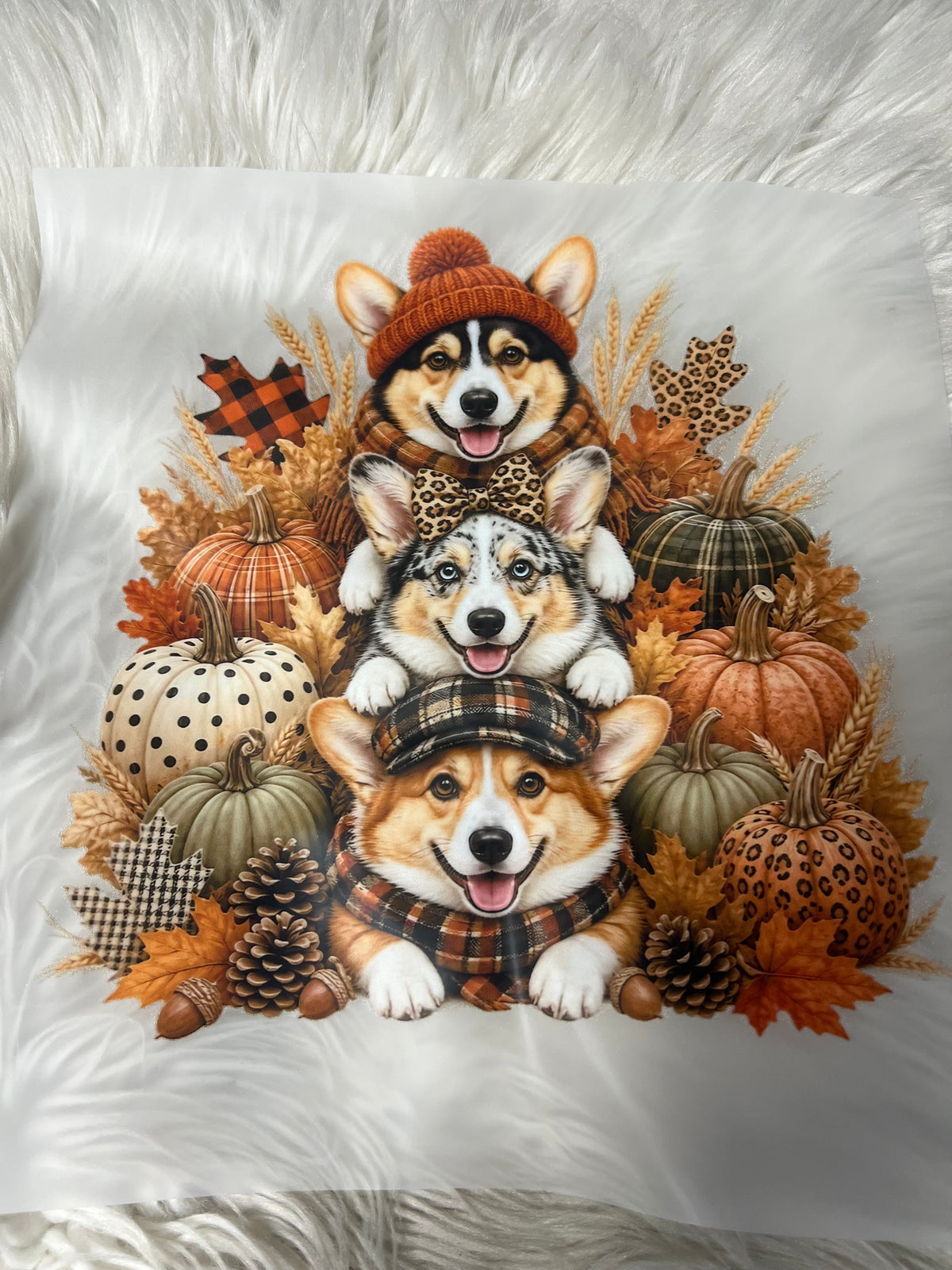New DTF corgi pumpkin fall leaves