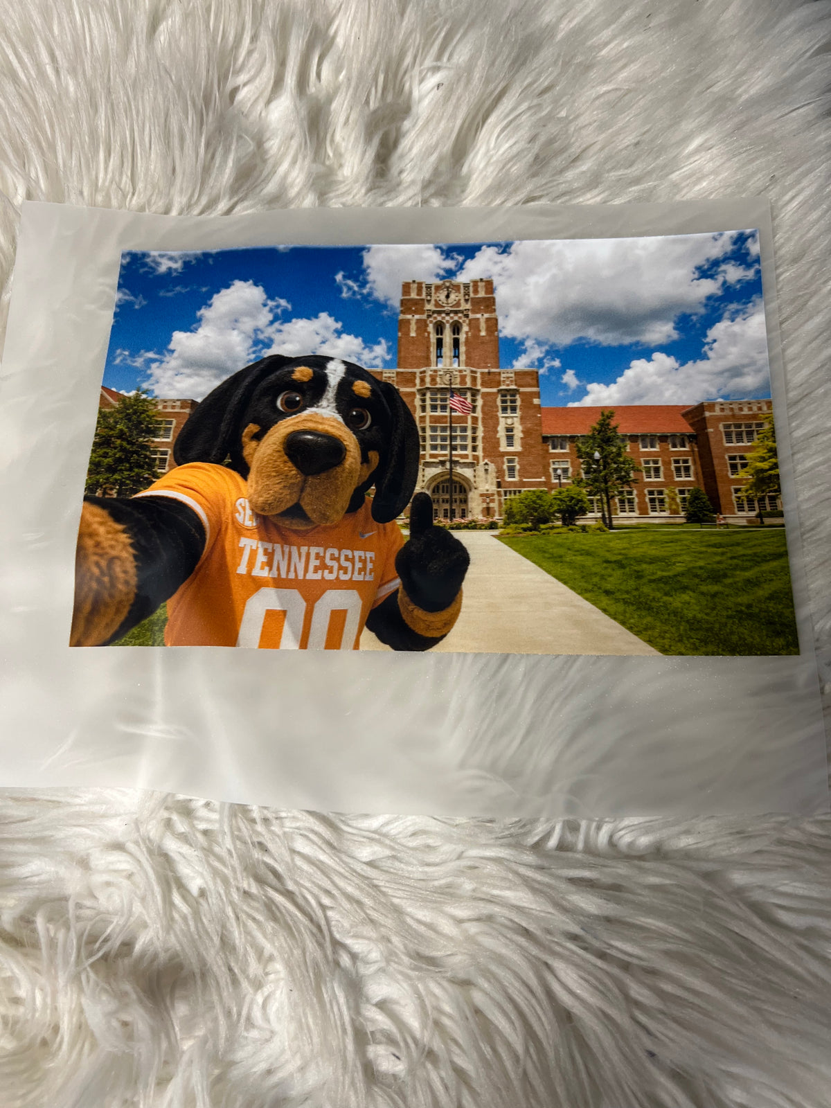 New DTF Tennessee ￼
