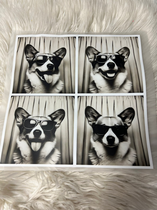 New DTF  corgi