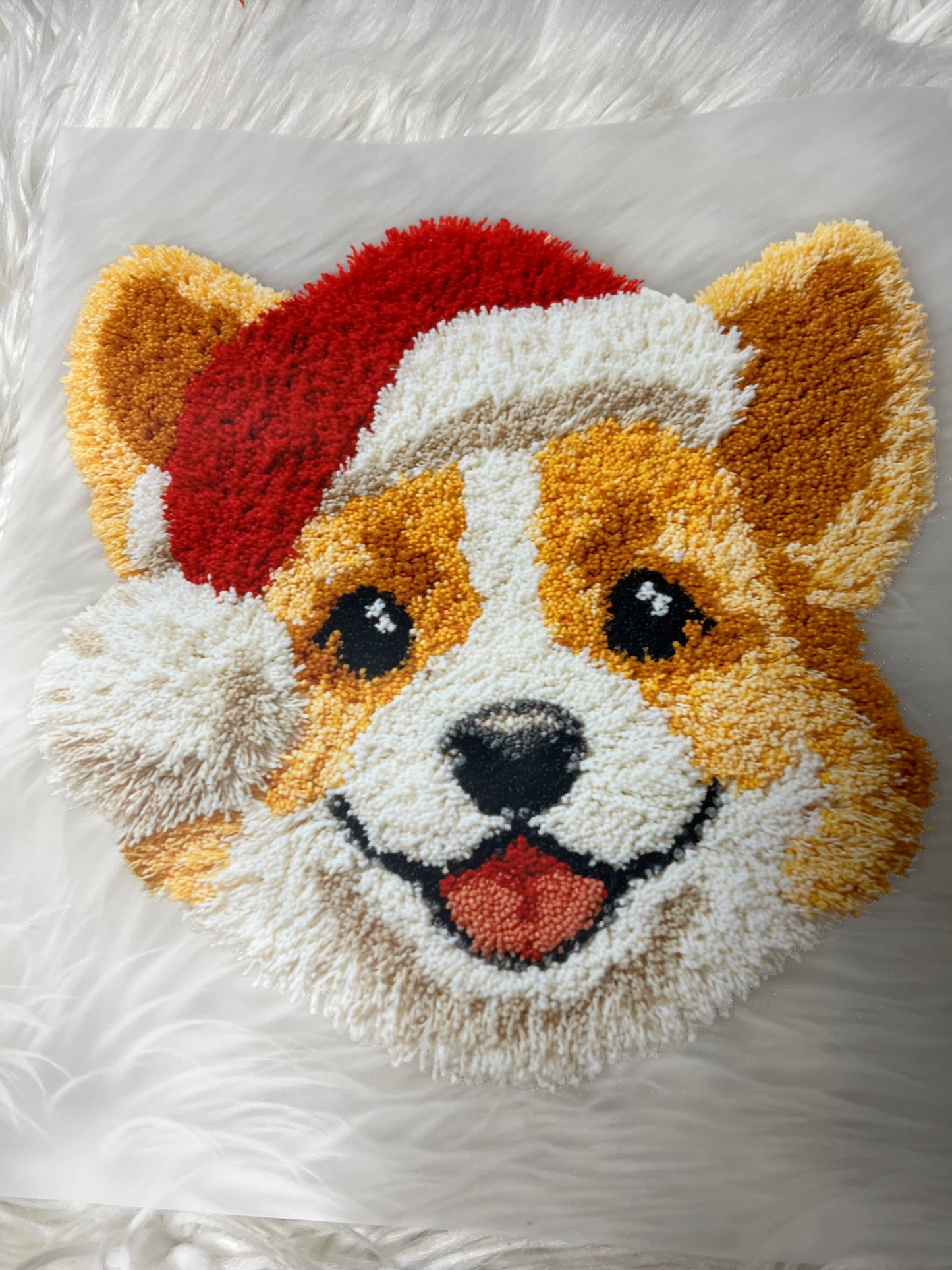 New DTF Christmas corgi