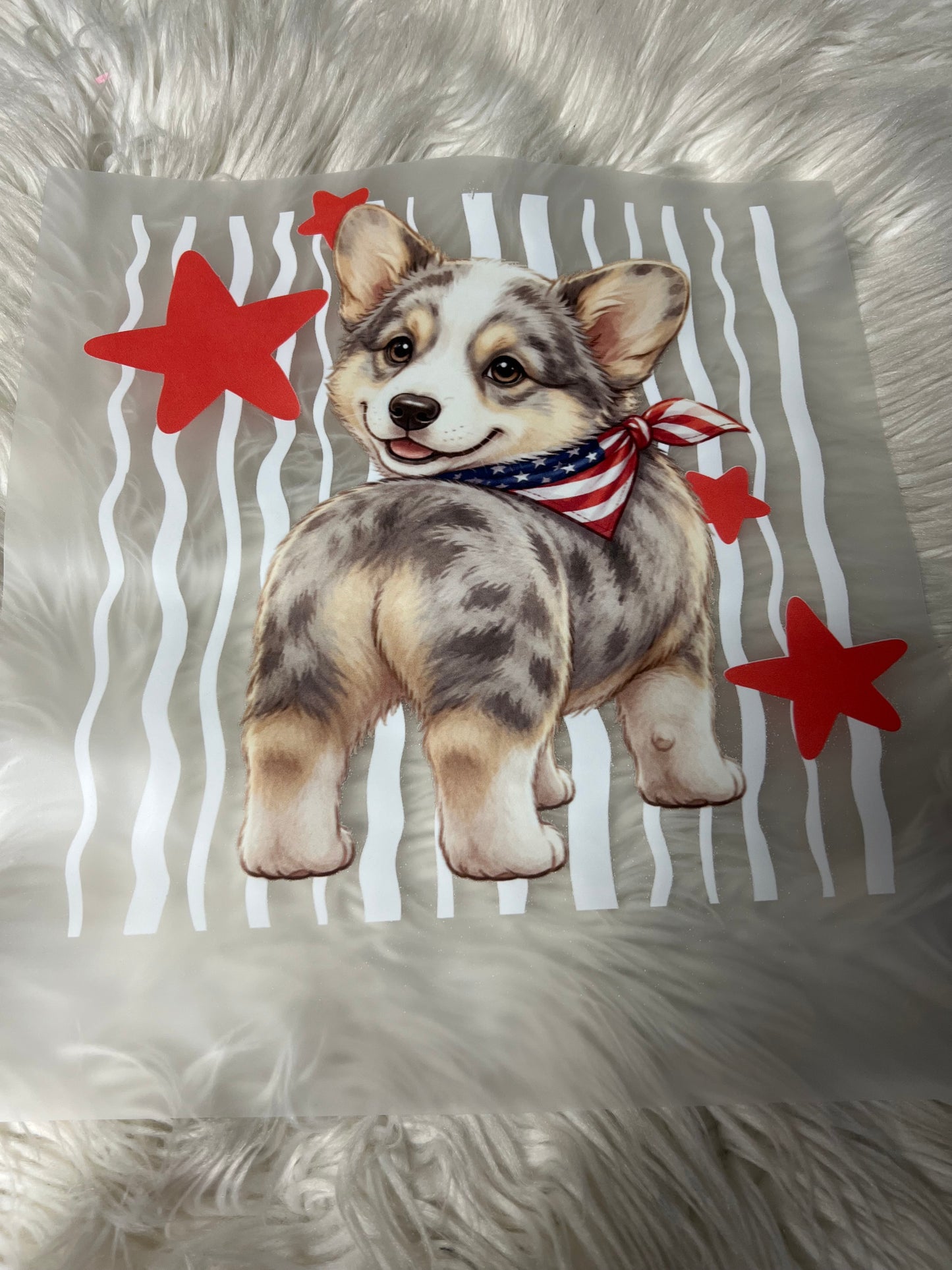New DTF corgi