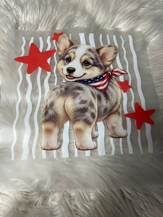 New DTF corgi