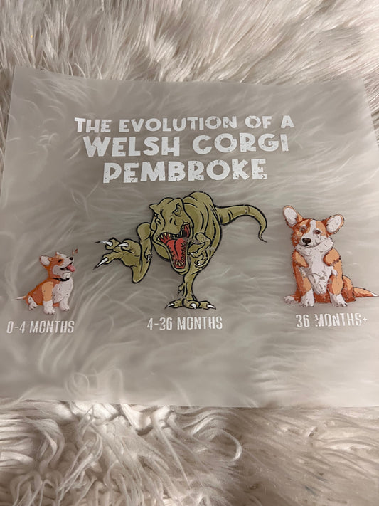 New DTF corgi