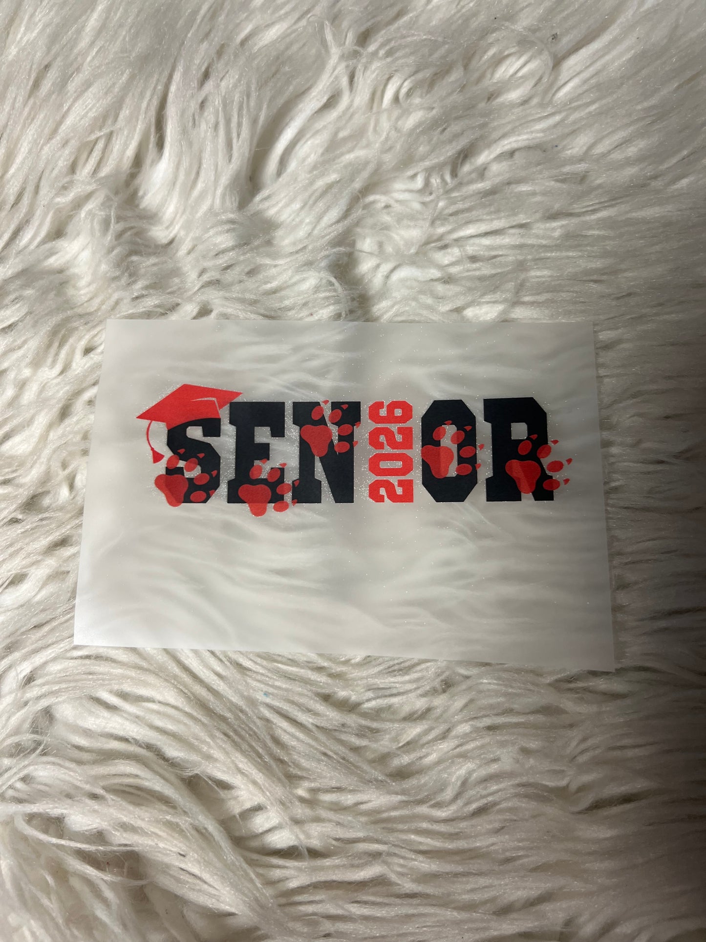 New  DTF seniors 2026