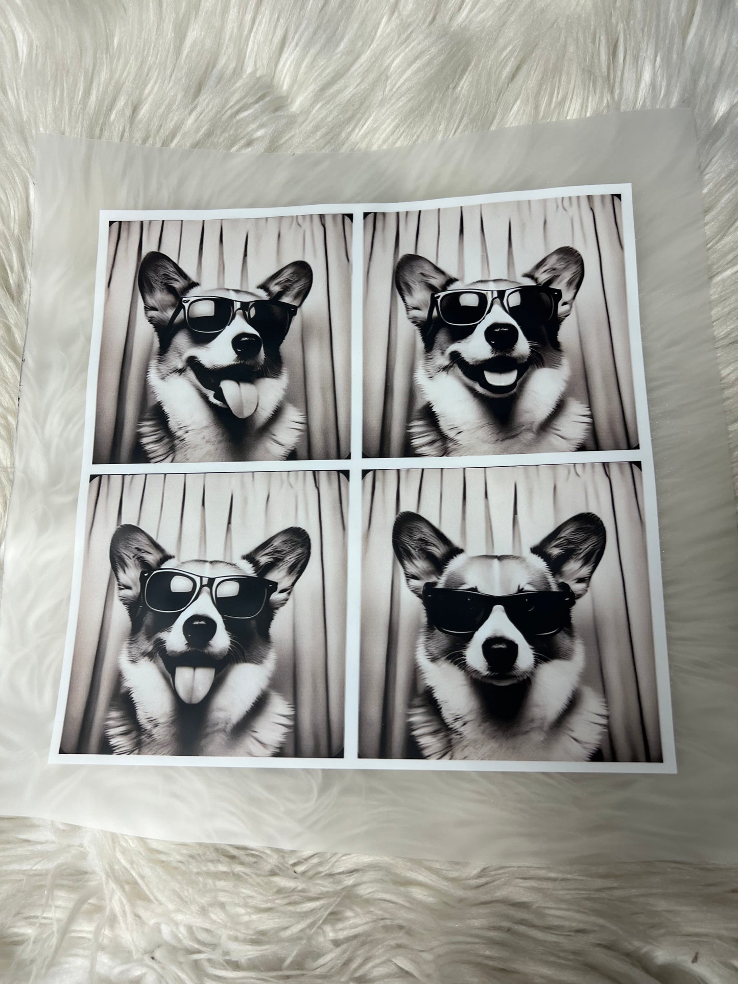 New DTF corgi