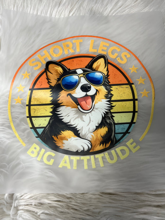 New DTF  corgi