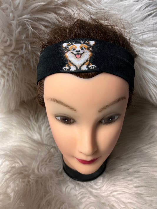 New corgi, black headband ￼