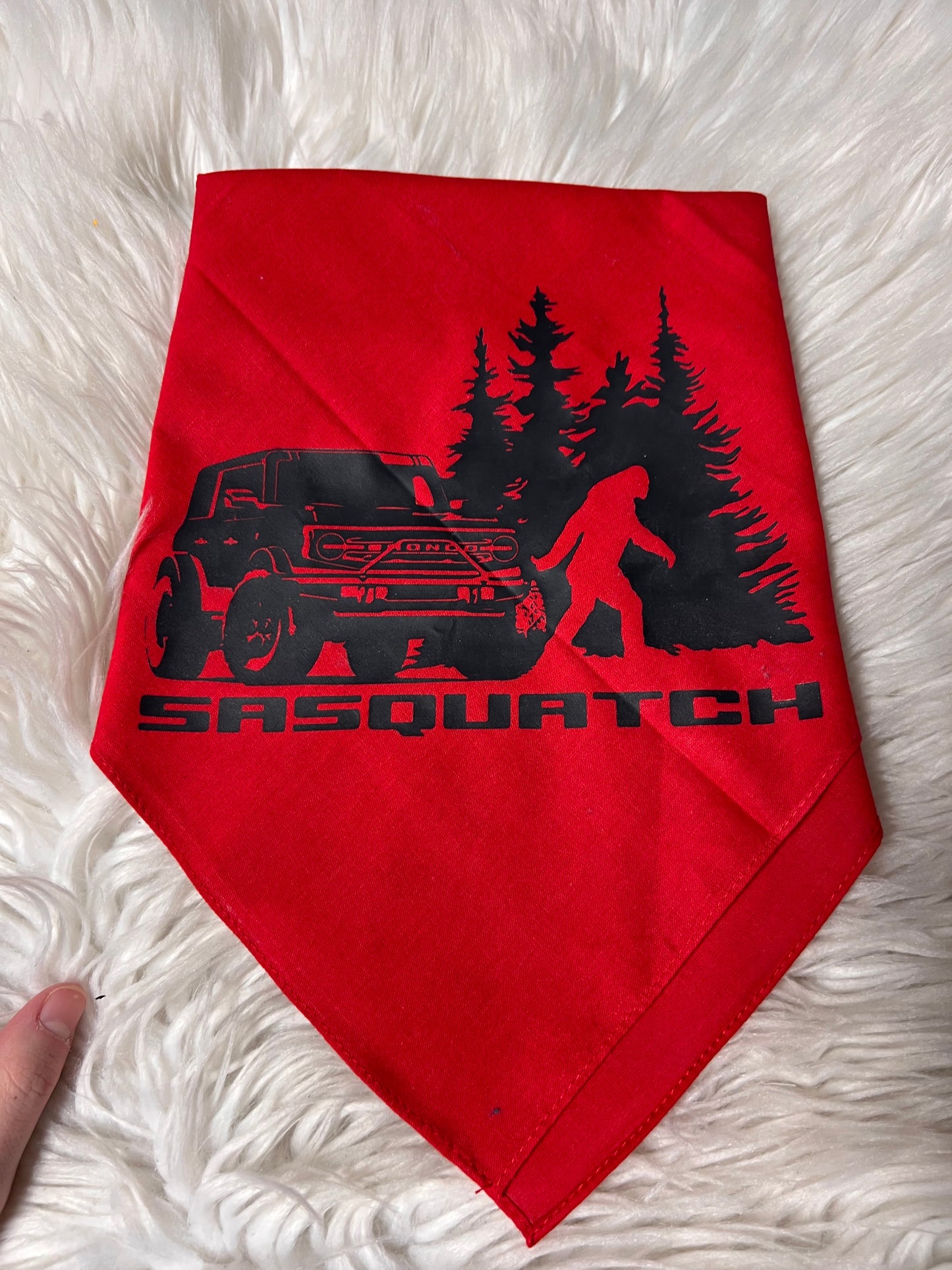 New dog bandanna