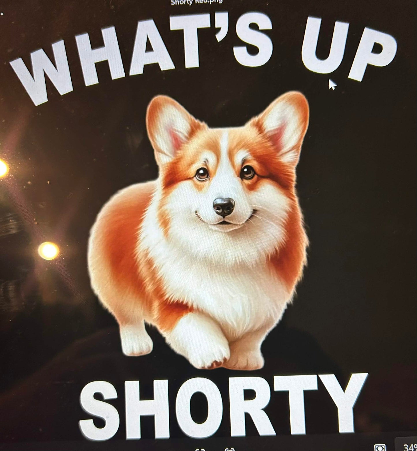 New DTF corgi