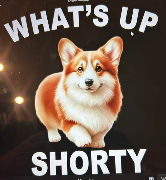 New DTF corgi