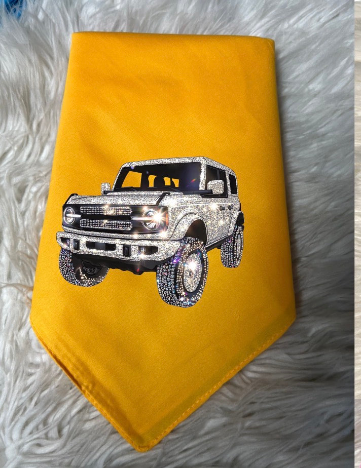 New dog bandanna